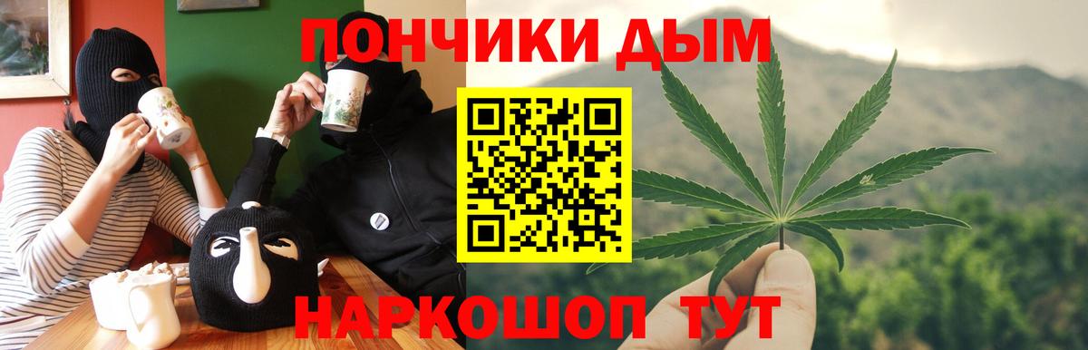 Кингисепп  Каннабис сатива  Бошки Шишки семена  Канабис индика  Вход с VPN 